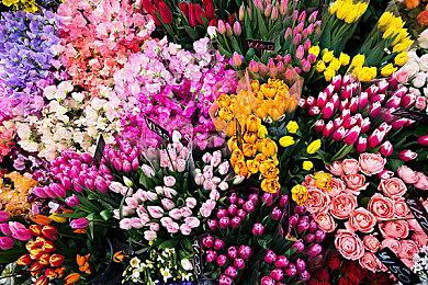 《Abysm》PC平台免费发布 第一人称太空科幻恐怖探索新游